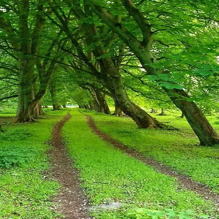 Appartement Jutta In Der Naehe Der Ostsee