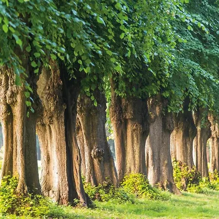 Jutta In Der Naehe Der Ostsee *