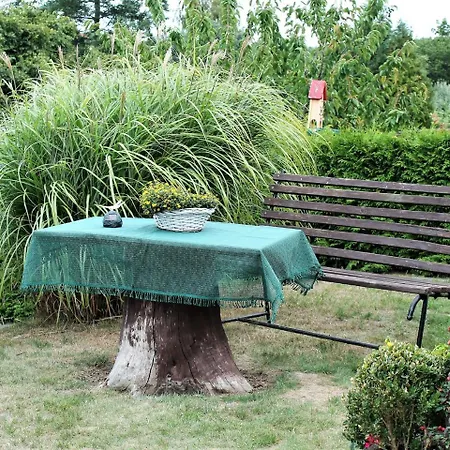 Apartment Beautiful In With Garden
