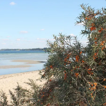 Jutta In Der Naehe Der Ostsee Appartement Proseken